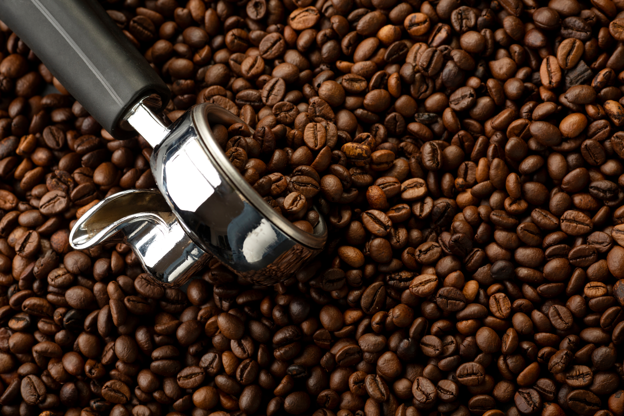 Year Round Coffees (2025)