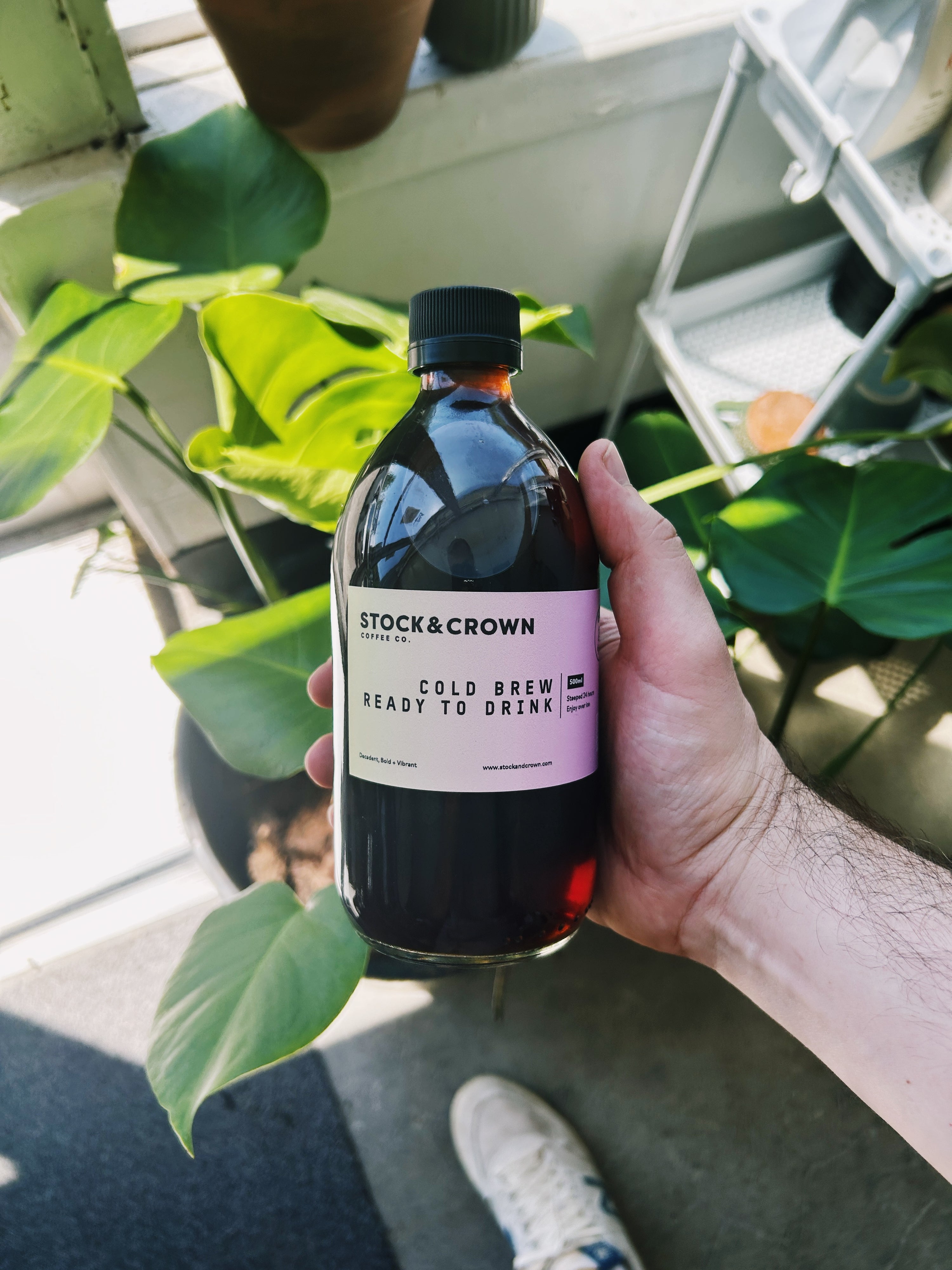 Cold Brew 500mL Ready to Drink