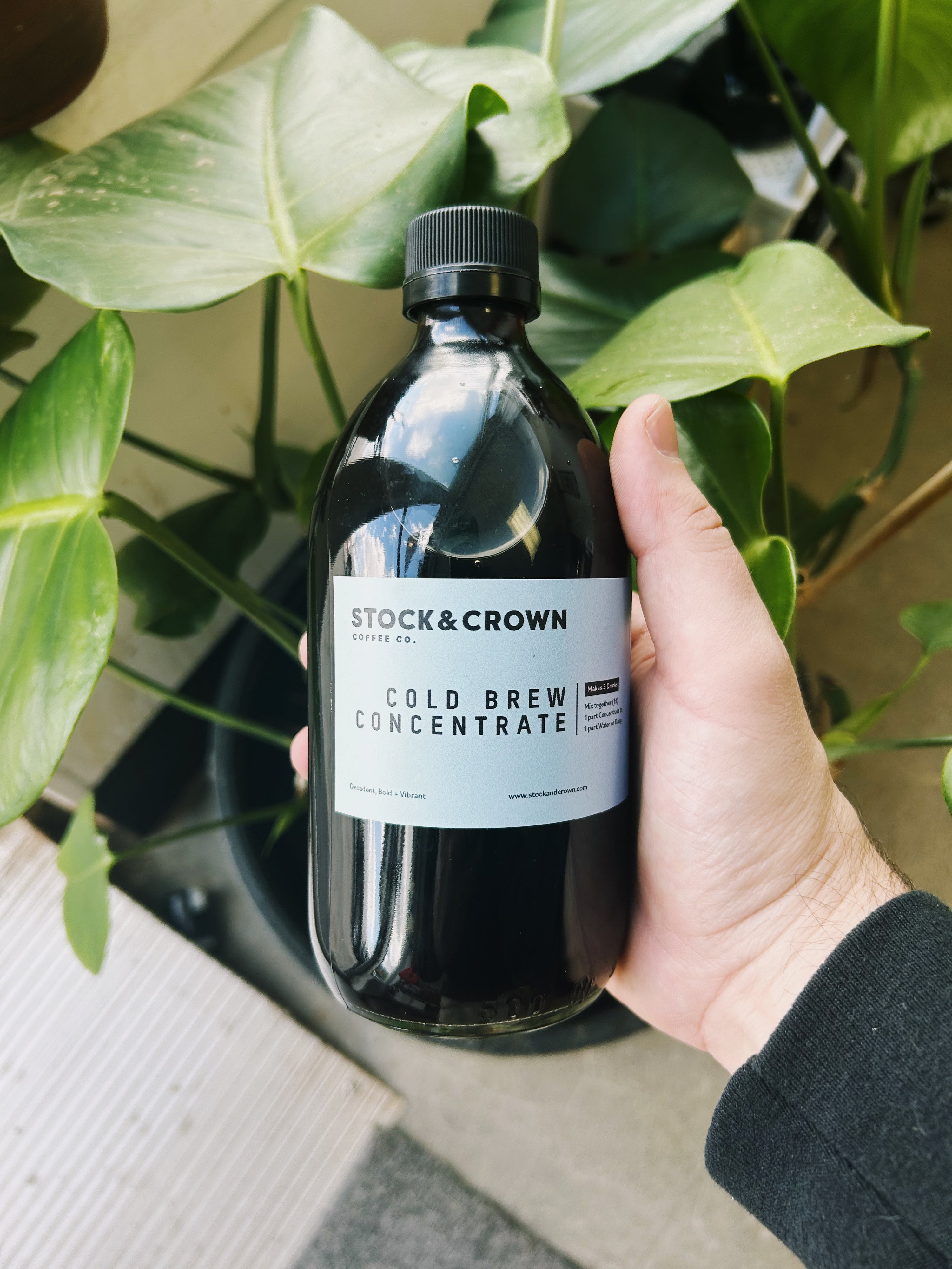 Cold Brew 1:1 Concentrate